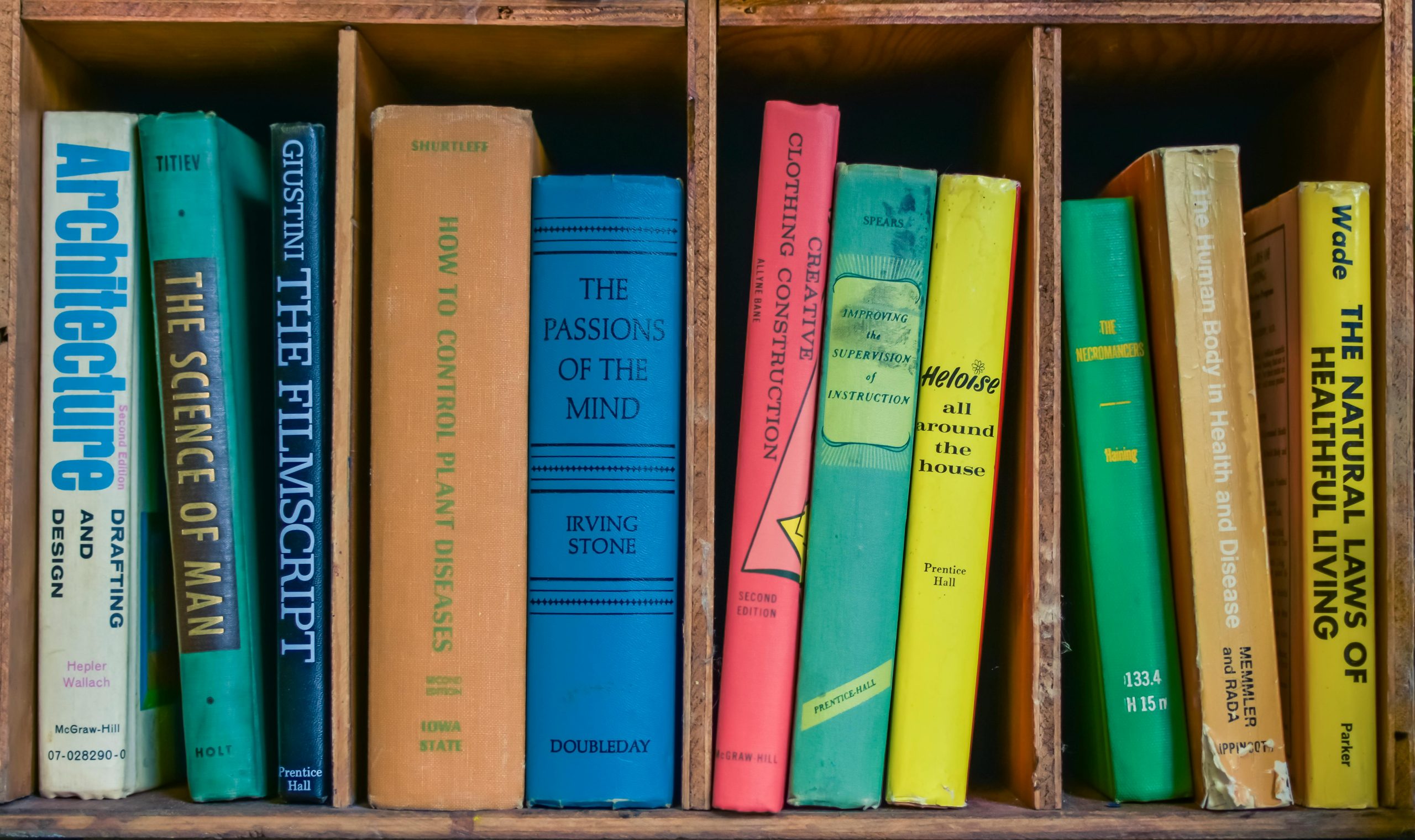 A vibrant collection of books on a wooden shelf, showcasing various titles and colors.